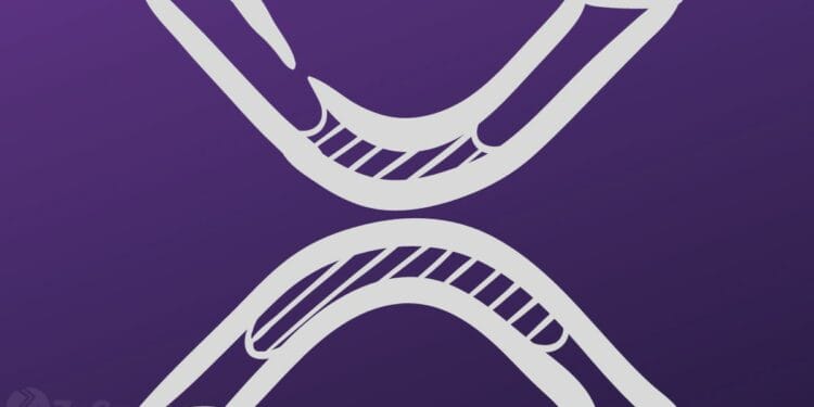 XRP Military Financial institution On A Huge Bull Run As Professional-Ripple Lawyer Calls XRPâs Poor Worth Efficiency âUnnaturalâ ⋆ ZyCrypto