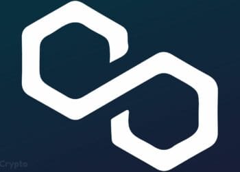 Loopy Rise of Each day Energetic Customers on Polygon â What’s Brewing for MATIC? ⋆ ZyCrypto