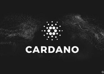 Ein Leitfaden für Einsteiger über die Kryptowährung Cardano und die Blockchain 3.0
