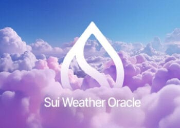 Sui Basis Awards Grants to Progressive Web3 Tasks