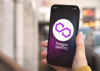 Polygon Worth Surges to August Highs within the Wake of Whale Exercise