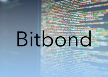 Ein aus meiner Sicht hohes Risiko für die Anleger – Der Altcoinspekulant