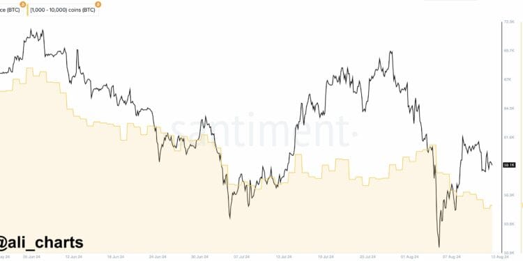 Is There Extra To Come?