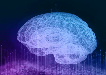 Most Trending Cryptocurrencies on Polygon – Patriot, GOON, Wisdomise