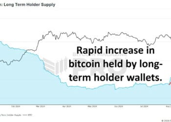 Are Bitcoin Whales Shopping for The Dip?