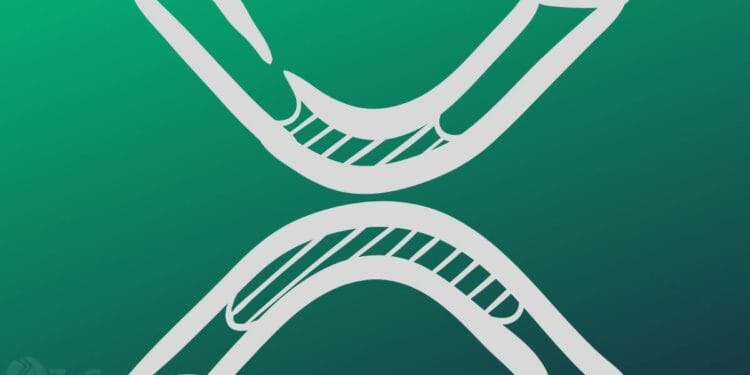 After Bitcoin’s $7 Billion ETF Success, Ripple’s Garlinghouse Says XRP is Subsequent ⋆ ZyCrypto