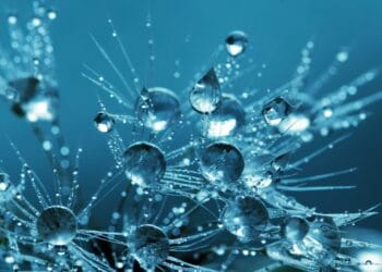 Lido (LDO) Faces Huge Correction As Token Losses Mount To twenty%