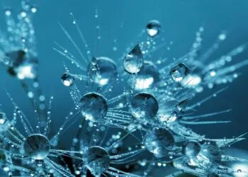 Lido (LDO) Faces Huge Correction As Token Losses Mount To twenty%