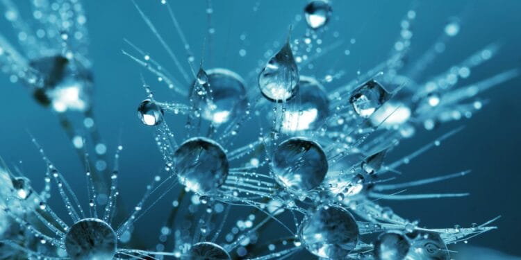 Lido (LDO) Faces Huge Correction As Token Losses Mount To twenty%