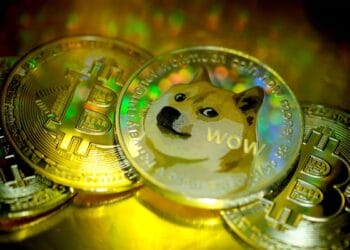 DOGE Pumps 6% As New Viral Cat Coin Catslap Skyrockets 120%