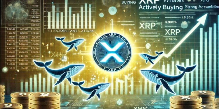 XRP Whales Loading Up – Information Reveals Shopping for Exercise