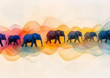 Africa Crypto Week in Evaluate: Former Twitter Founder Attends Bitcoin Convention in Nairobi, Nigeria’s Pockets Adoption Increase, As Bybit Expands