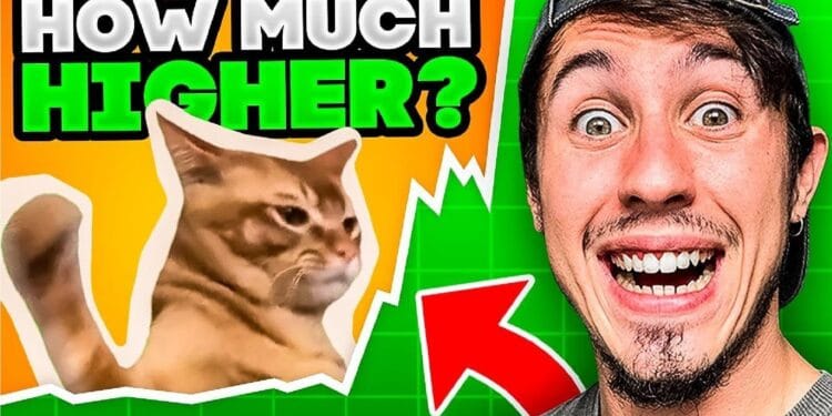 Catslap Meme Coin Value Prediction