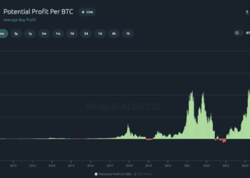 Bitcoin Traders Are Now Up $67,000 On Common – And This Is  Simply The Begin