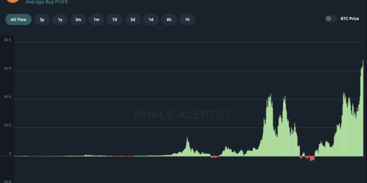 Bitcoin Traders Are Now Up $67,000 On Common – And This Is  Simply The Begin