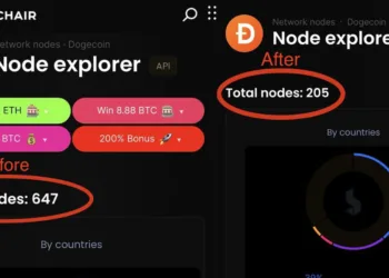 Dogecoin Flaw Exploited, Hacker Crashes 69% of Energetic Nodes – CryptoNinjas