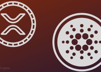 XRP and Cardano Witness Intensified Whale Promoting as Market Turns Impartial ⋆ ZyCrypto