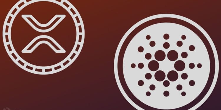 XRP and Cardano Witness Intensified Whale Promoting as Market Turns Impartial ⋆ ZyCrypto