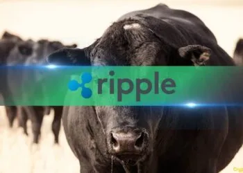 Fee Tokens XRP and XLM Surge in New Yr Altcoin Rally