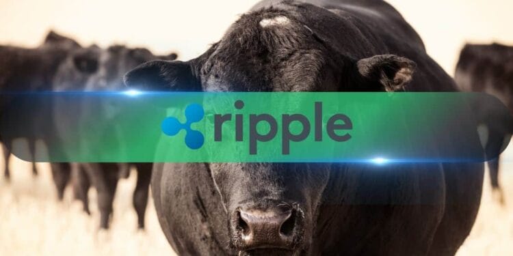Fee Tokens XRP and XLM Surge in New Yr Altcoin Rally