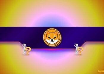 Shiba Inu (SHIB) Crashes 20% Each day However This Key Metric Suggests a Comeback