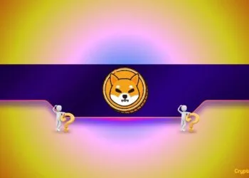 Shiba Inu (SHIB) Crashes 20% Each day However This Key Metric Suggests a Comeback