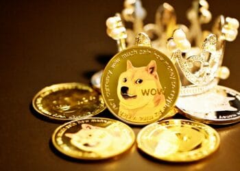 Third Dogecoin ETF Submitting Goes Reside From Grayscale, Is DOGE Gearing Up For Rally To $1?