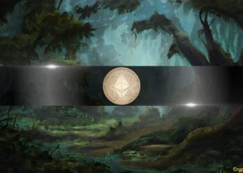 Ethereum Derivatives Metrics Sign Modest Draw back Tail Threat Forward: Nansen