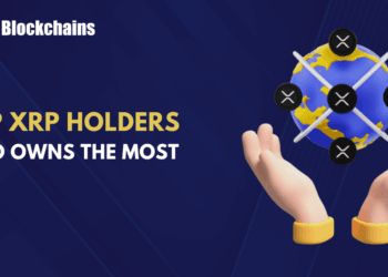 High XRP Holders and Possession Distribution