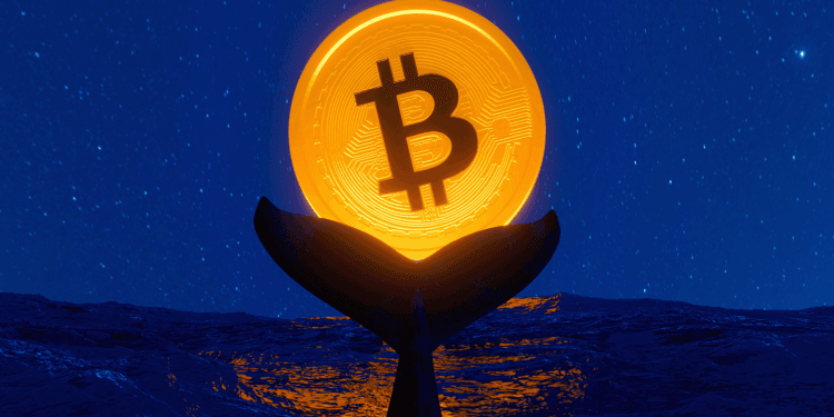 Is A Deeper Value Decline Forward?