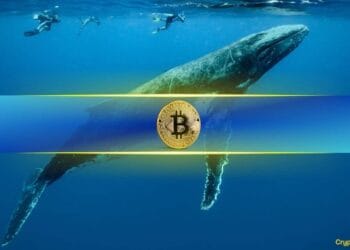 Bitcoin Whales Are Again: May BTC Be Poised for a Breakout?