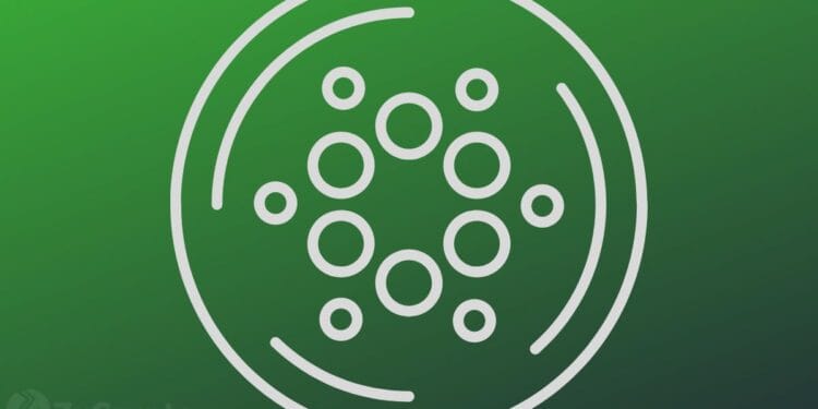 Hoskinson Claims New Cardano Software Will Outperform Solana In Community Velocity ⋆ ZyCrypto