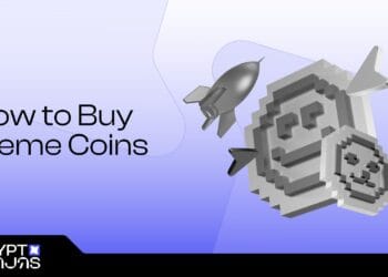 A Newbie’s Information to What and The place to Purchase in 2025