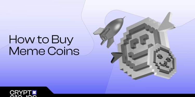 A Newbie’s Information to What and The place to Purchase in 2025