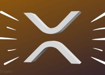 Binance Information Highlights Silent Large XRP Accumulation, Signaling a Mega Worth Eruption ⋆ ZyCrypto