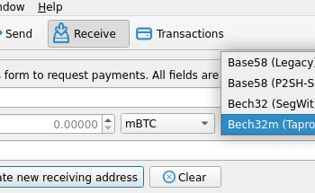 What kind of tackle has the bottom transaction payment?