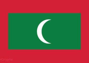 Maldives Companions with Dubai-based agency to Construct $9 Billion Worldwide Centre for Blockchain Innovation ⋆ ZyCrypto