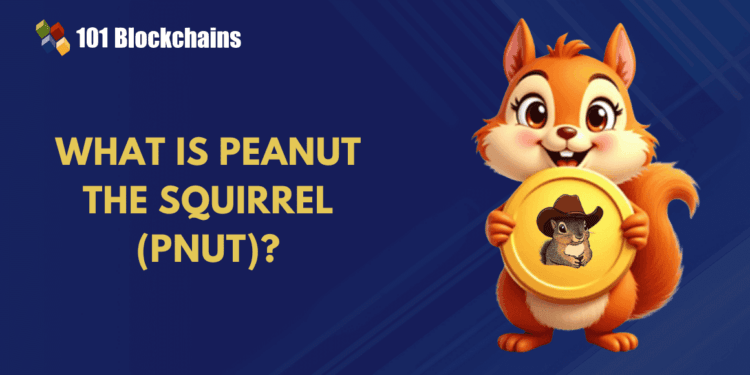 What’s Peanut the Squirrel (PNUT) and How Does it Work?