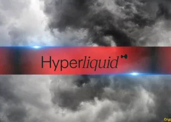 How Low Can the Hyperliquid (HYPE) Value Go?