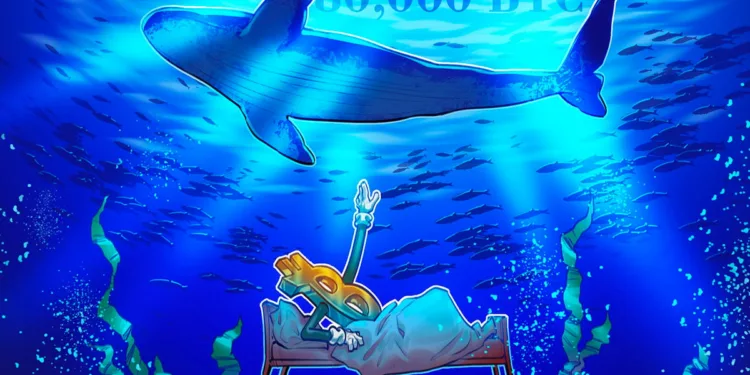 Quantum menace to Bitcoin? 80,000 BTC simply moved after 14 years