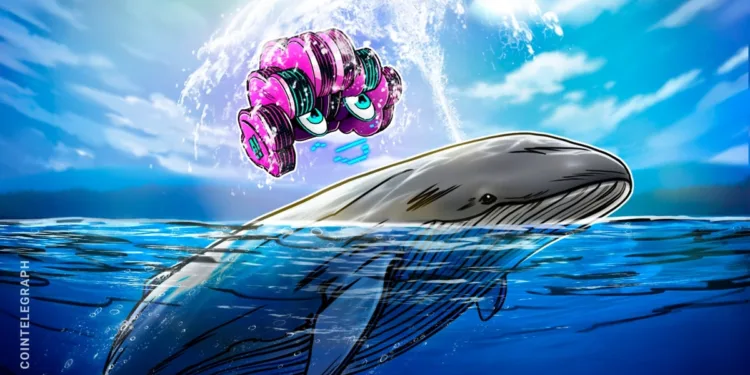 How Sensible Merchants Use AI to Monitor Whale Pockets Exercise