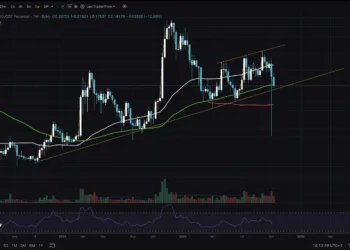 DOGE Worth Breaks Key Assist: Is Alt Run No Extra?