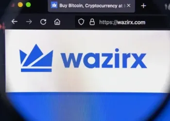 WazirX’s Proposed Scheme of Association Listening to Set for Oct 13