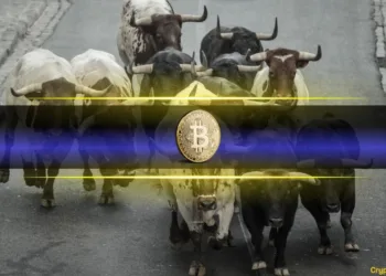 Analyst Predicts $300K Bitcoin Peak Regardless of Bearish Temper