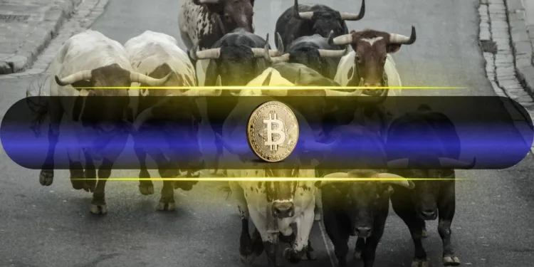 Analyst Predicts $300K Bitcoin Peak Regardless of Bearish Temper