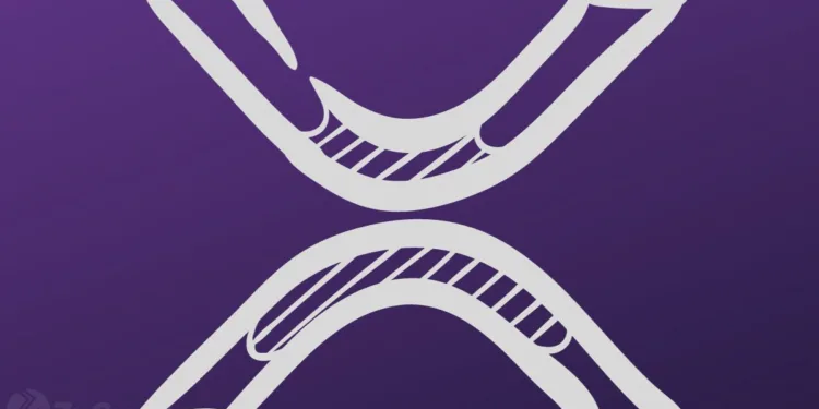 Ripple’s Brad Garlinghouse Shares Key Institutional Sign, Makes Daring XRP Prediction For 2026 ⋆ ZyCrypto