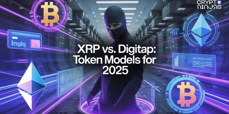 Evaluating Market Circumstances and Token Fashions Heading Into 2025